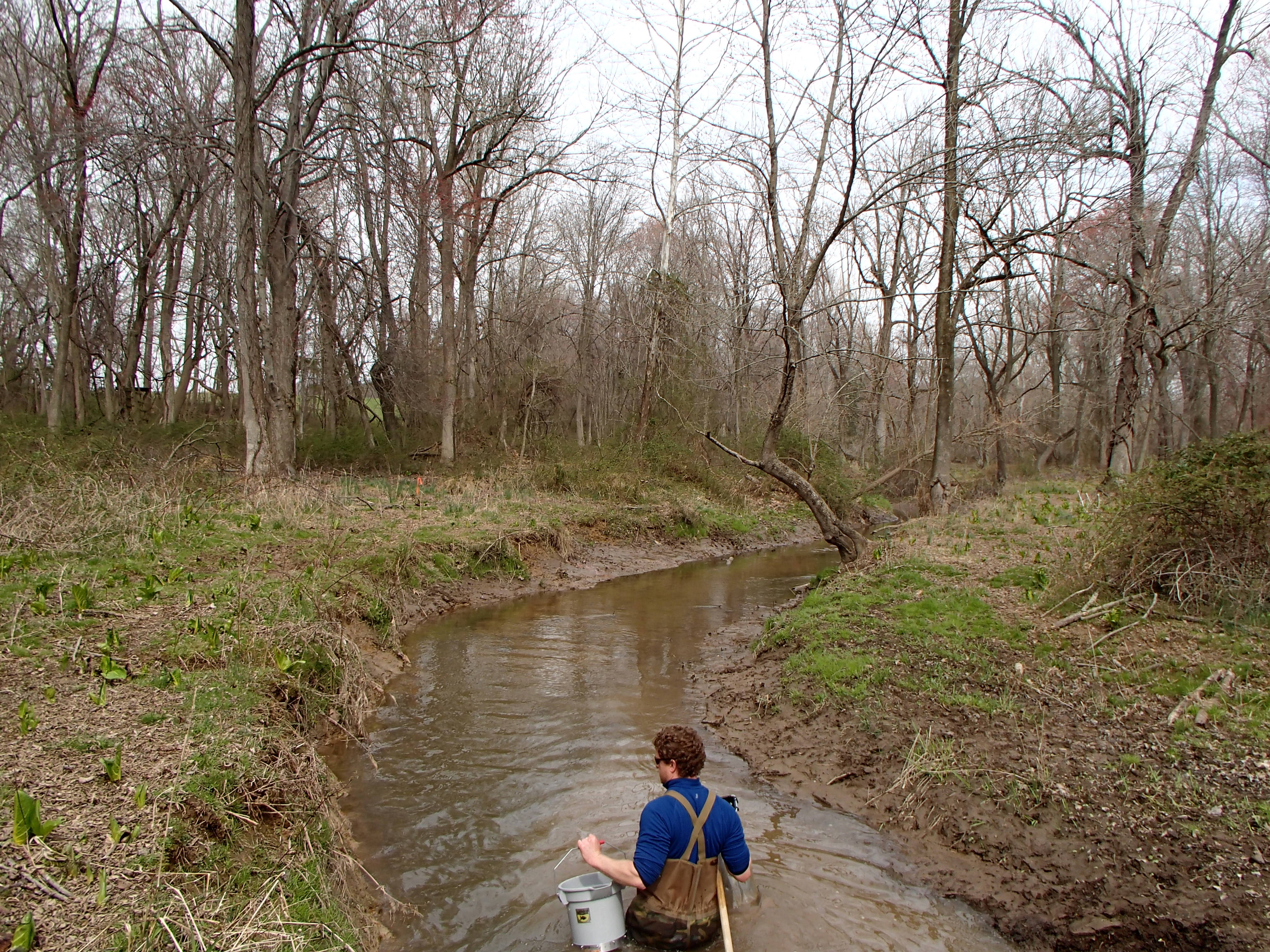 Field photo showing stream conditions at site MICR-208-R-2016_Midpoint looking upstream